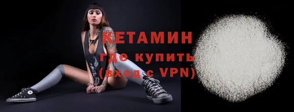 ПСИЛОЦИБИНОВЫЕ ГРИБЫ Дмитриев