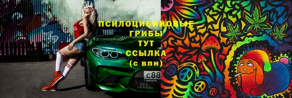 таблы Алзамай