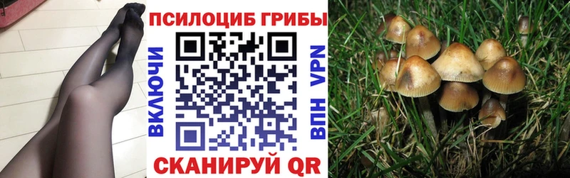 Псилоцибиновые грибы Cubensis Первоуральск