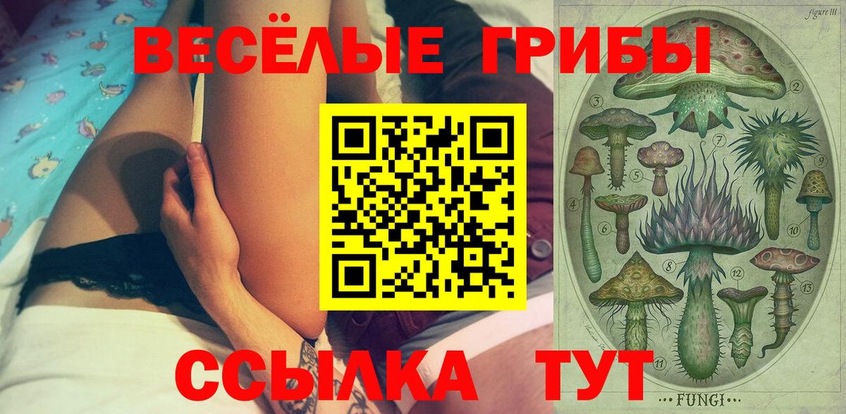 Псилоцибиновые грибы Psilocybe  дарнет шоп  Галлюциногенные грибы MAGIC MUSHROOMS  Первоуральск  Вход с VPN 