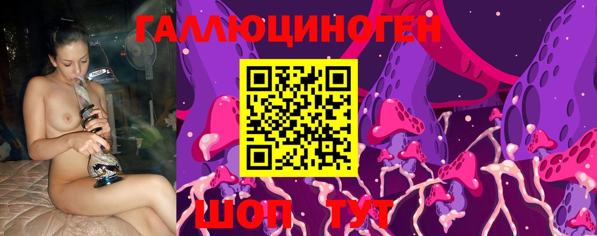 Псилоцибиновые грибы Psilocybine cubensis Первоуральск